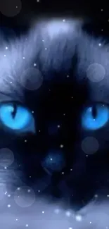 Mystical dark blue cat with glowing eyes wallpaper.