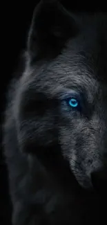 Mystical wolf with blue eyes on dark background, mobile wallpaper.