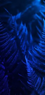 Deep blue fern leaves create a mystical phone wallpaper.