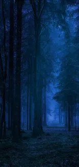 Mystical blue forest wallpaper with serene trees.