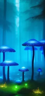 Glowing blue mushrooms in a mystical forest setting with vibrant teal ambiance.