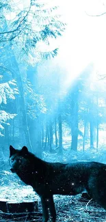 Lone wolf in a mystical blue forest under the snowy trees.