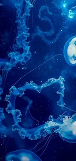 Illuminated blue jellyfish gracefully floating in dark ocean waters.