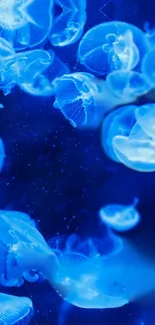 Mystical blue jellyfish floating underwater, creating a serene scene.