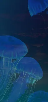 Dark blue wallpaper featuring luminous jellyfish floating in an underwater scene.