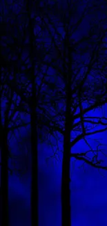 Mystical forest silhouette under a blue moonlit night sky.