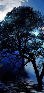 Mystical blue nightscape with trees and reflections.