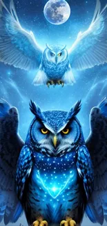 Artwork of two blue owls with a moonlit night sky background.