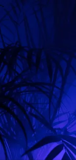 Silhouetted palm leaves against a mystical blue background.