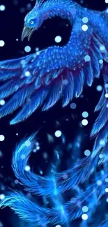 Mystical blue phoenix soaring in night sky wallpaper