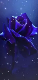 Mystical blue rose against a starry night sky background.