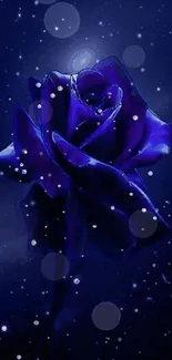 Mystical blue rose against a starlit night sky.