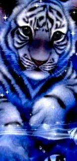 Mystical blue tiger with stars and water reflections.