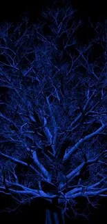 Mystical blue tree wallpaper with intricate branches on a dark background.