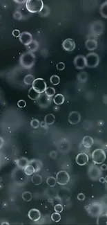 Dark gray background with ethereal bubbles floating softly.