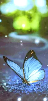 A glowing blue butterfly in a mystical, dreamy forest scene.