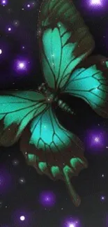 Teal butterfly with glowing purple background.