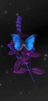 Mystical blue butterfly on purple flower with starry night background.