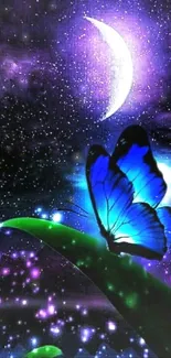 Blue butterfly on leaf under a starry night sky with crescent moon.