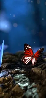 Red butterfly on forest floor with starry night background.