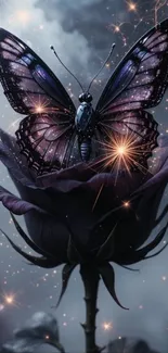 Butterfly on black rose with cosmic stars