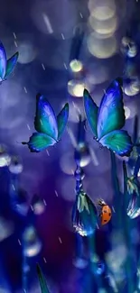 Mystical butterflies with dark blue background.