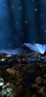 Mystical blue butterfly resting in a serene forest setting with a soft glow.