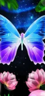 Colorful butterfly on a dark, starry background with pink flowers.