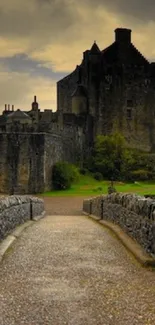 Mystical castle under a dramatic, cloudy sky with stone pathway leading up.