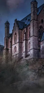 Gothic castle under a moonlit sky at night.