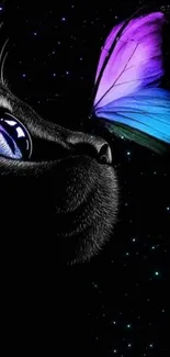 Mystical black cat and butterfly against a starry night sky wallpaper.