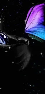 Mystical black cat with vibrant butterfly in space artwork.