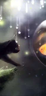 Dark scene with a cat and goldfish under stars.