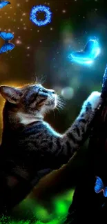 Cat reaching glowing butterflies in mystical night scene.