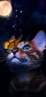 Enchanting wallpaper featuring a cat under the moonlight with a butterfly.