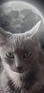 Gray cat with moonlit backdrop, exuding a mystical aura.