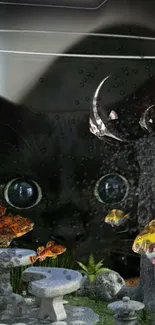 Mystical black cat with fish and bubbles in an aquarium-themed wallpaper.