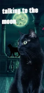 Black cat under moonlit night in a gothic setting.