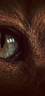 Close-up of a cat's mystical eyes with rich brown tones.