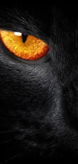 Close-up of a black cat's orange eye on a dark background.