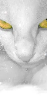 White cat with striking green eyes on a monochrome background.