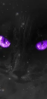 Mystical black cat with glowing purple eyes on a starry background wallpaper.