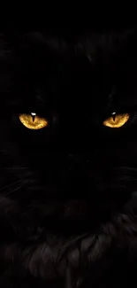 Wallpaper with glowing cat eyes in darkness.