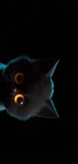 Mystical cat with glowing eyes on black background wallpaper.