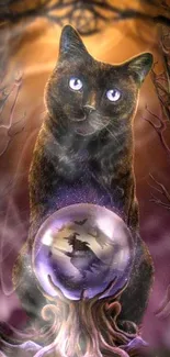 Mystical black cat with crystal ball on fantasy wallpaper.