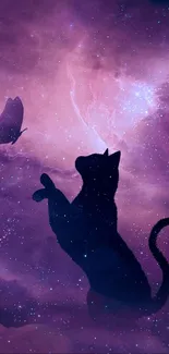 Silhouette of cat and butterfly in a purple galaxy background.