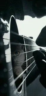 A cat peers through a guitar, blending music and mystique.