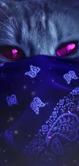 Cat with pink eyes wearing a blue bandana, creating a mystic wallpaper.