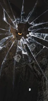 Mystical cat eye peering through shattered glass amid spooky trees.