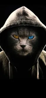 Mysterious cat with colored eyes in hoodie against black background.